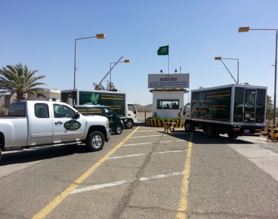 WhatsApp Image 2025-02-11 at 11.46.21